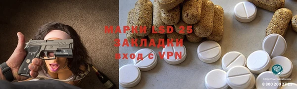 сатива Мегион