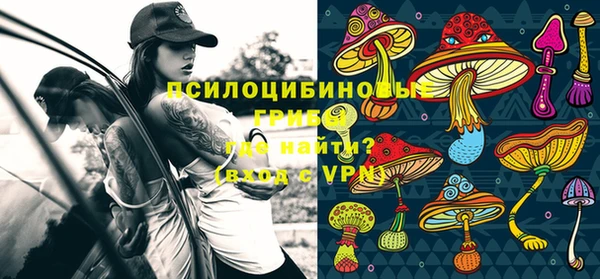 гашик Медногорск