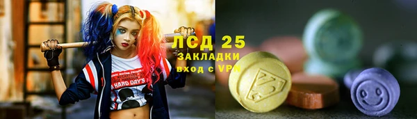 гашик Медногорск