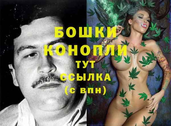 гашик Медногорск