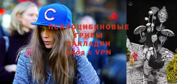 сатива Мегион