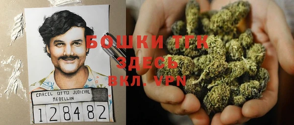 экстази Медвежьегорск