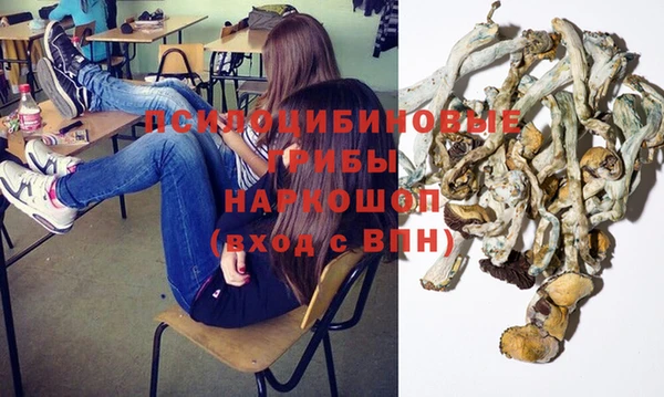 гашик Медногорск