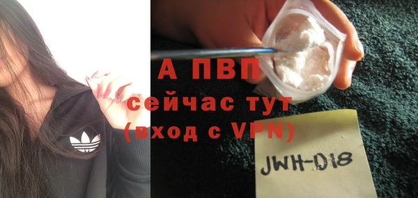 сатива Мегион