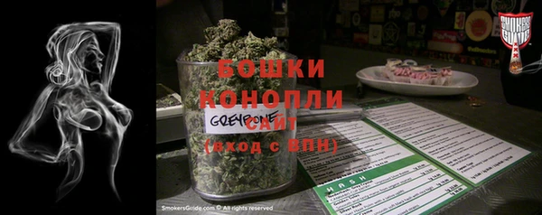сатива Мегион