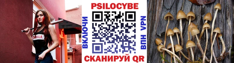 Псилоцибиновые грибы мицелий Клинцы